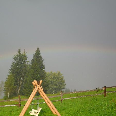 Lisovychok Villa Vorokhta Bagian luar foto