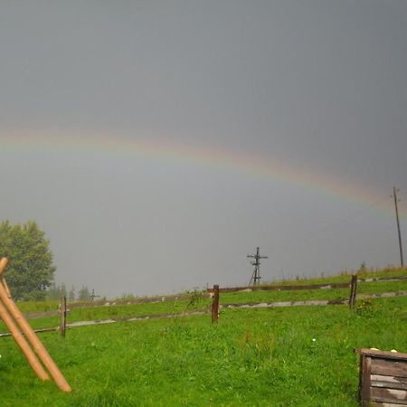 Lisovychok Villa Vorokhta Bagian luar foto