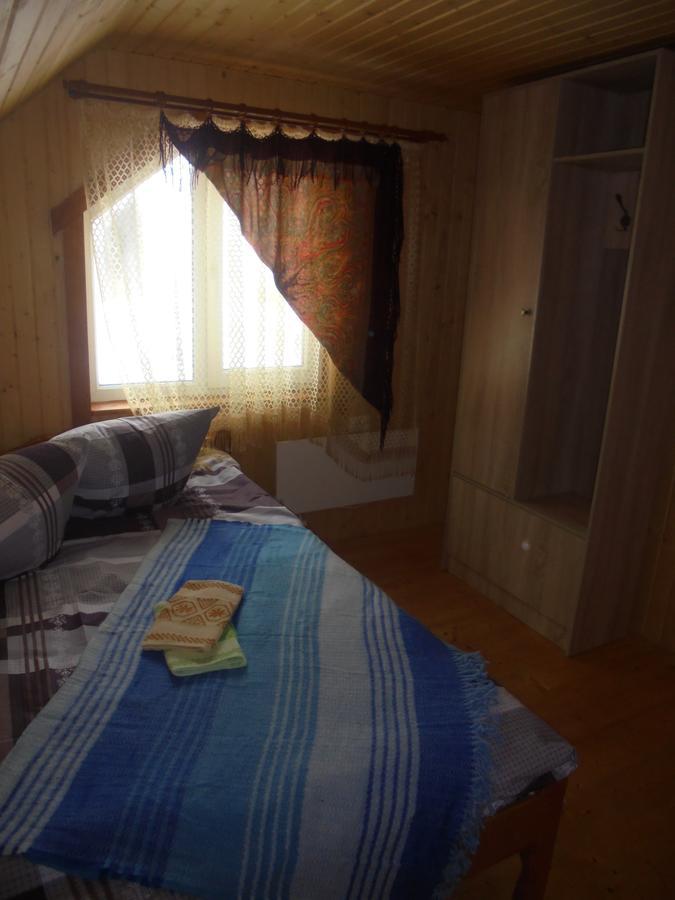 Lisovychok Villa Vorokhta Bagian luar foto