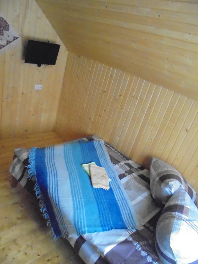 Lisovychok Villa Vorokhta Bagian luar foto