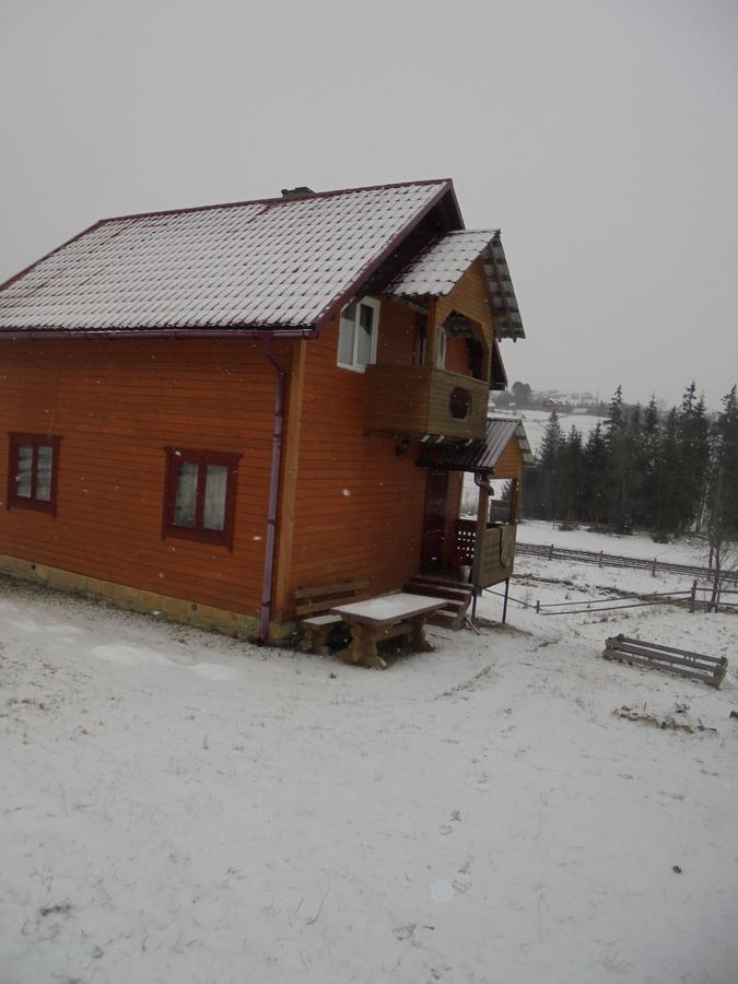 Lisovychok Villa Vorokhta Bagian luar foto