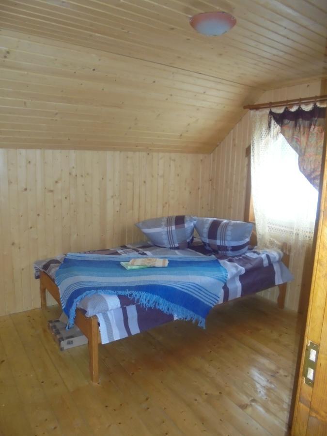 Lisovychok Villa Vorokhta Bagian luar foto