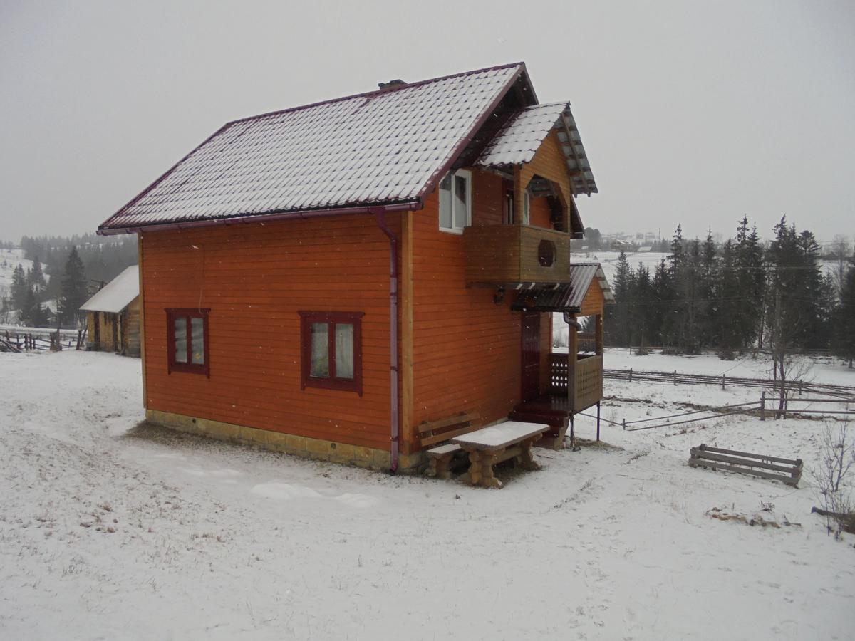 Lisovychok Villa Vorokhta Bagian luar foto
