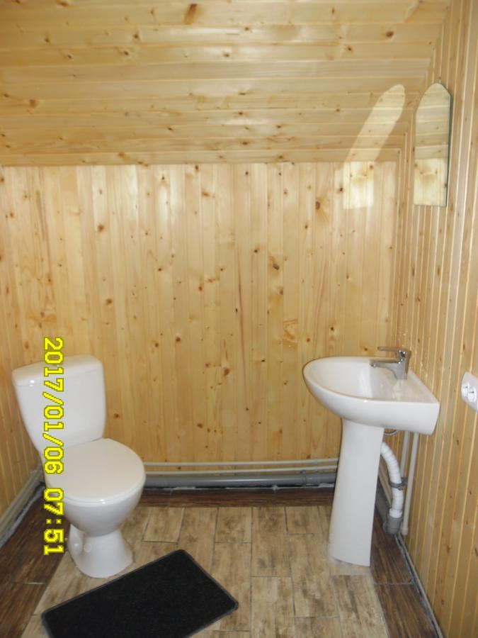 Lisovychok Villa Vorokhta Bagian luar foto