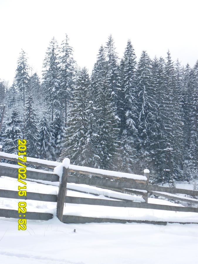Lisovychok Villa Vorokhta Bagian luar foto
