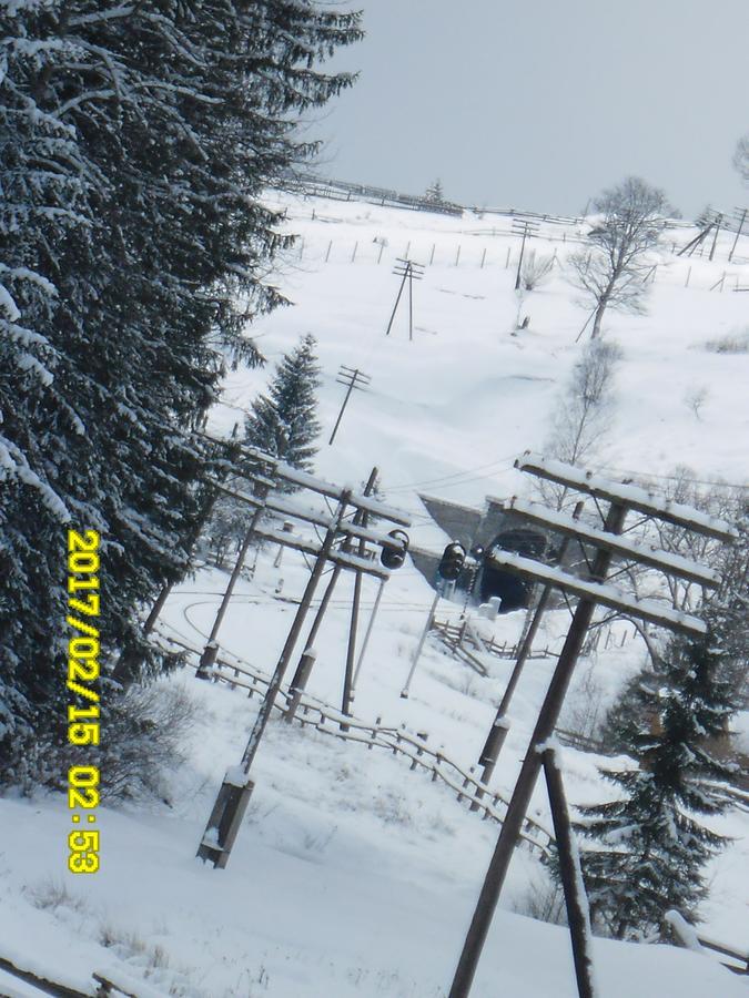 Lisovychok Villa Vorokhta Bagian luar foto