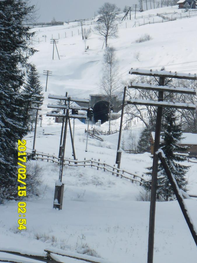 Lisovychok Villa Vorokhta Bagian luar foto