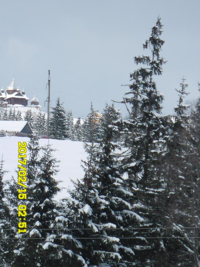 Lisovychok Villa Vorokhta Bagian luar foto