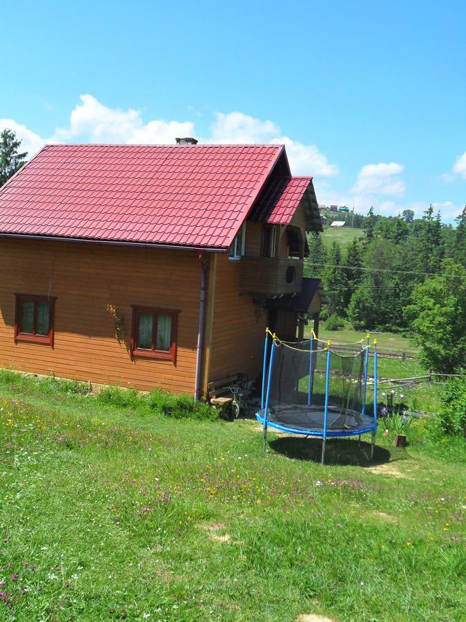 Lisovychok Villa Vorokhta Bagian luar foto