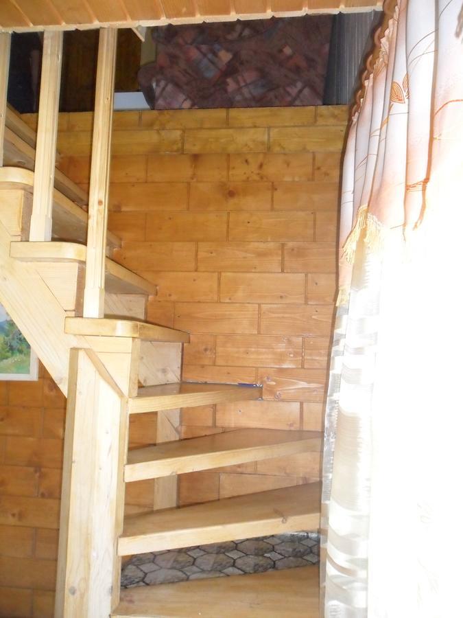 Lisovychok Villa Vorokhta Bagian luar foto