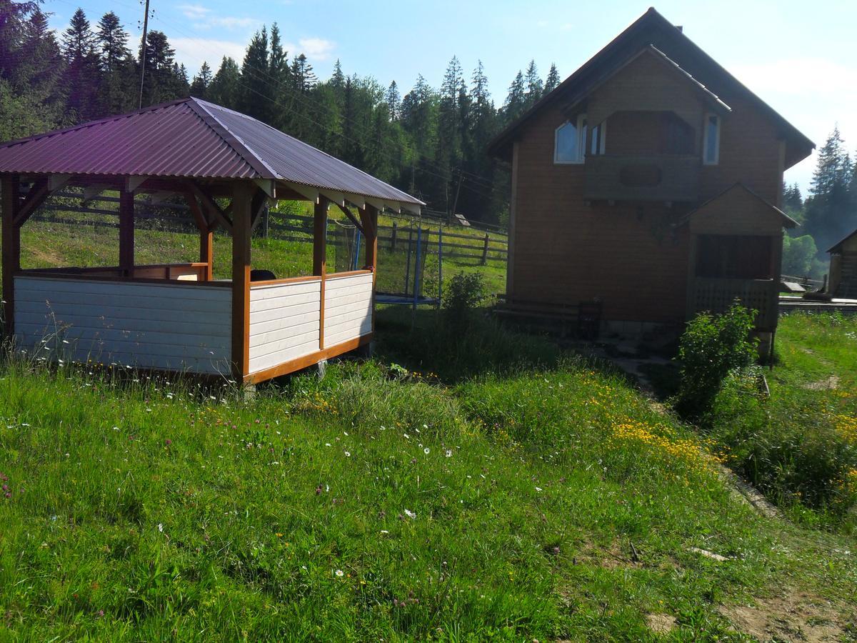 Lisovychok Villa Vorokhta Bagian luar foto
