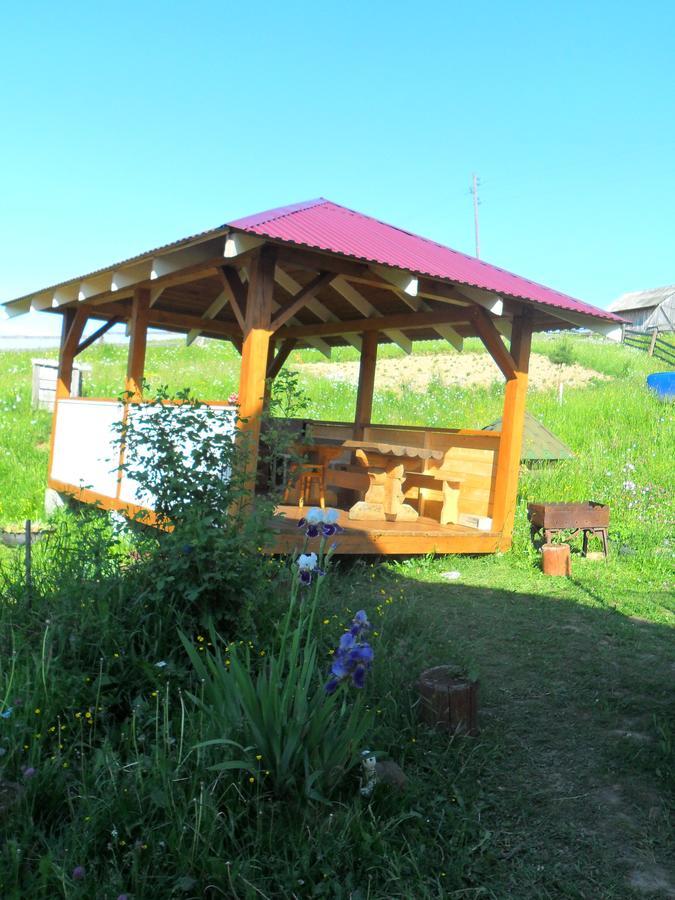 Lisovychok Villa Vorokhta Bagian luar foto