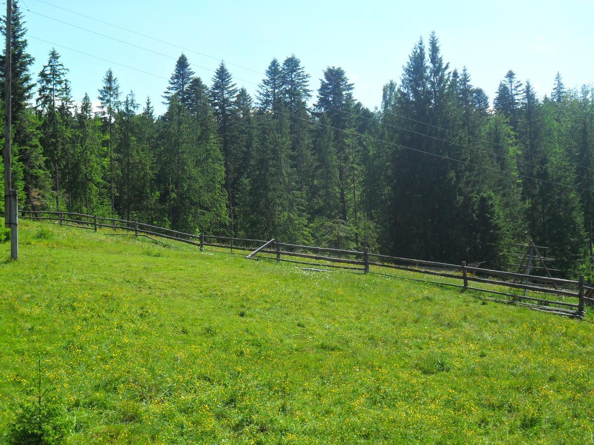 Lisovychok Villa Vorokhta Bagian luar foto